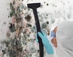 Best Water Damage & Mold Remediation in USA